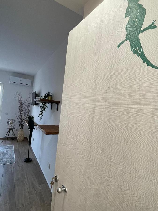 Urban jungle rooms Napoli Bagian luar foto